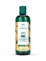 The Body shop Anti-Dandruff Ginger Shampoo 250ml - Best Price in Bangladesh | Shampoobd