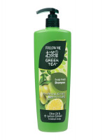 Authentic Follow Me Green Tea Scalp Fresh Shampoo Imported – Bangladesh | Shampoobd