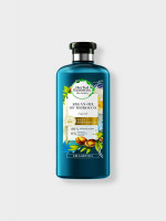 Argan Oil Shampoo - Explore the Power of Herbal Hair Care - Best Price in Bangladesh | Shampoobd
