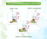 Mamaearth Onion Shampoo For Hair Fall Control 250 ml - Price in Bangladesh - Best Price in Bangladesh | ShampoBD