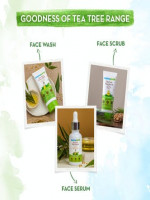 Mamaearth Tea Tree Facewash For Acne And Pimples 100ml - Best Price in Bangladesh | Shampoobd