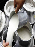 Gorur Torol Dudh - Best Price in Bangladesh | Shampoobd
