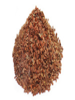 Talmakhana - Best Price in Bangladesh | Shampoobd