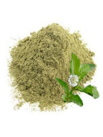 Bhringraj - Best Price in Bangladesh | Shampoobd