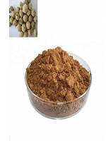 Maju Fol Gura - Best Price in Bangladesh | Shampoobd