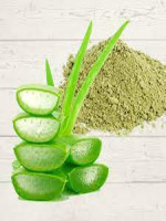 Aloe Vera Powder - Best Price in Bangladesh | Shampoobd