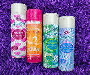 Effortless Refresh: Discover the 12 X Shelley 200Ml Dry Shampoo for Instant Hair Revival - Best Price in Bangladesh | Shampoobd