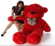 happy teddy day photo