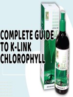 K-Link Chlorophyll Syrup - 500ml - Price in Bangladesh