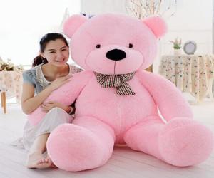 Teddy Bear Price Plush Teddy Bears 3.5 Ladies Birthday Gift - Price in Bangladesh