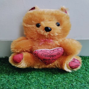 Cute Teddy Bear for Your Kid's Girlfriend or Anyone Birthday Gift