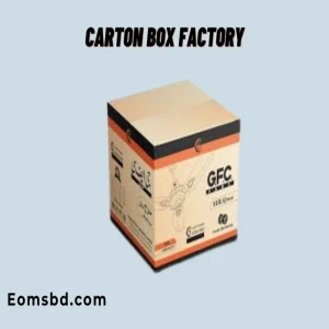 Fan carton box