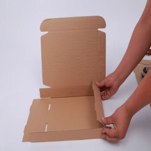 Airplane Carton Box