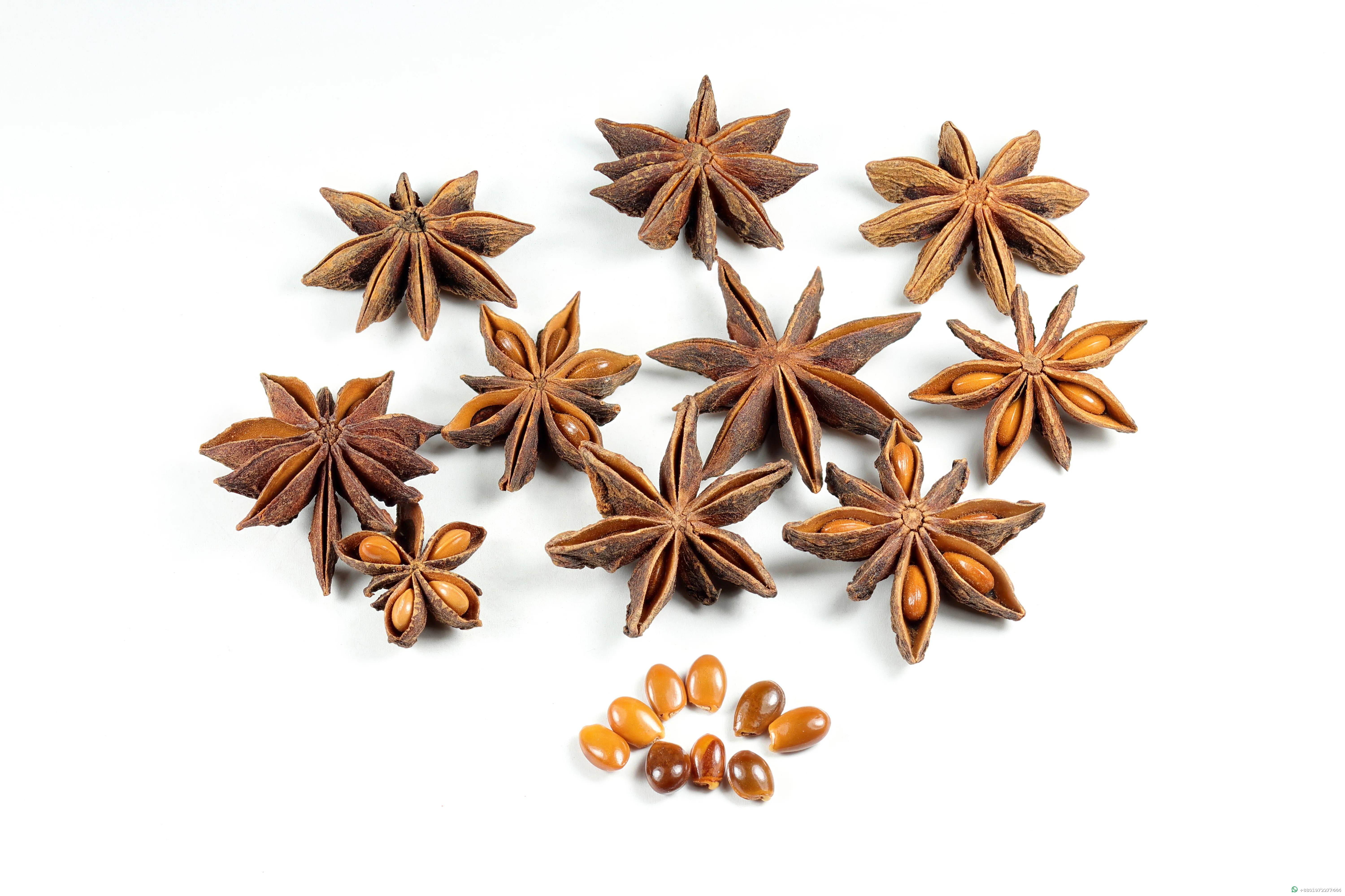 Anise Star 10g