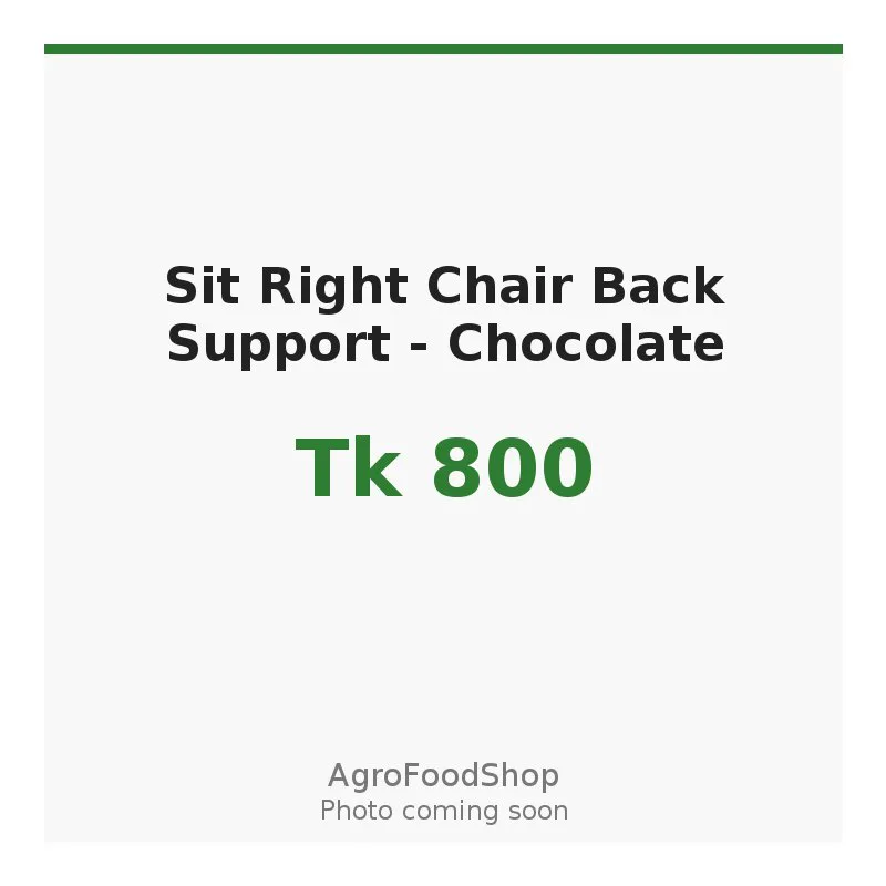 Sit Right Chair Back Support - Chocolate