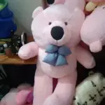 flowers and teddy bear delivery-large brown teddy bear 5 Feet