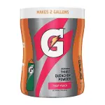 Gatorade Thirst Quencher Powder Fruit Punch 521g