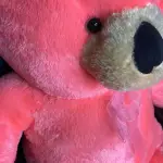 big teddy bear price in bd-big teddy bear valentines day-pink teddy bear 5 Feet