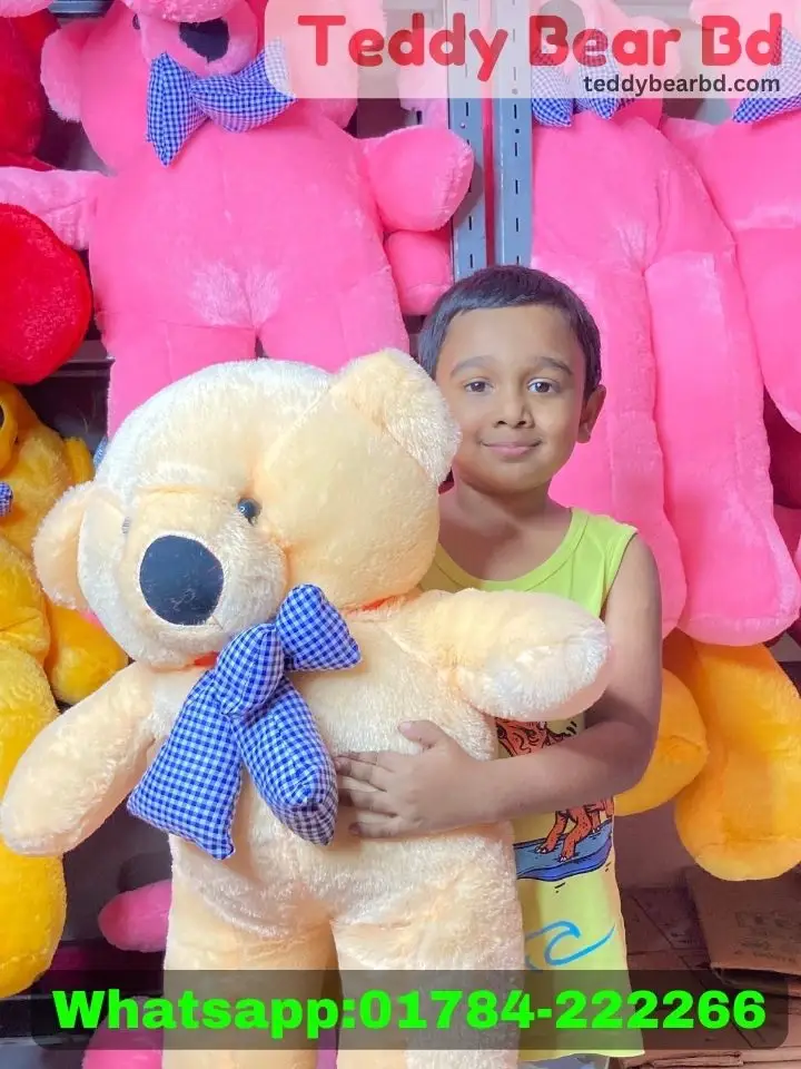 Very Small Teddy Bear-Teddy Bear in Bangladesh- 2.5 Feet