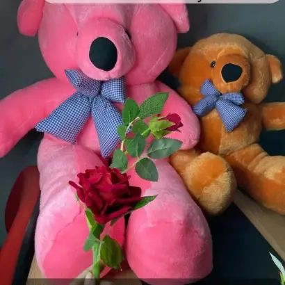 Romantic Teddy Bear-3.5 BD birthday gift-Teddy Bear Medium Size