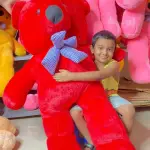 Birthday Gift for Girlfriend-Medium Size Teddy Bear Price in 2.5 Feet