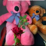 Romantic Teddy Bear-3.5 BD birthday gift-Teddy Bear Medium Size