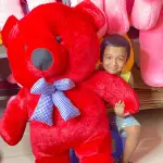 Big Red Teddy Bear-Teddy Bear Price in BD-5 Feet Teddy Bear Friends