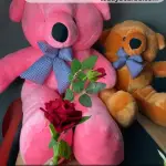 Best Birthday Gifts-Price of a Teddy Bear-Romantic Gifts