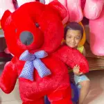 Top Wedding Gifts Teddy Bear-Gift Happy Valentine's Day
